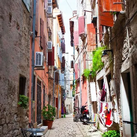 In With Terrace, Air Condition, Wifi, Washing Machine 3652-4 Rovinj