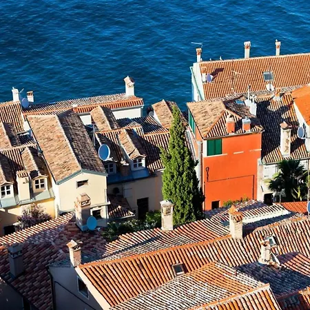 In With Terrace, Air Condition, Wifi, Washing Machine 3652-4 Rovinj